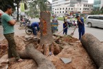 ky uc ha noi cau tha va lua doi