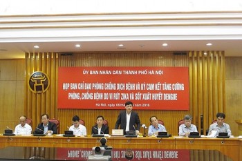 Hà Nội chủ động phòng chống dịch Zika