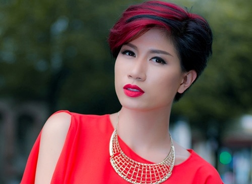 Vụ người mẫu Trang Trần chống người thi hành công vụ đang chìm xuồng?