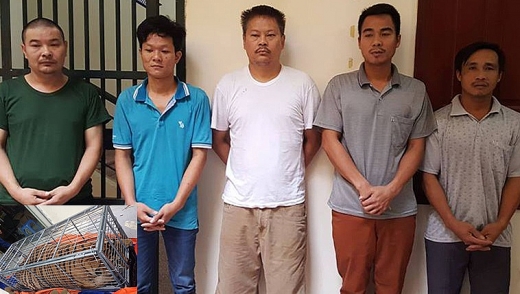 ha noi khoi to 5 doi tuong buon ban dong vat hoang da