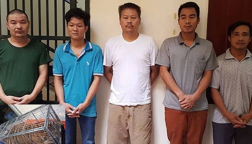 Hà Nội: Khởi tố 5 đối tượng buôn bán động vật hoang dã