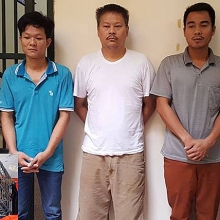 viet nam that bai trong cuoc chien voi nan buon ban dong vat hoang da