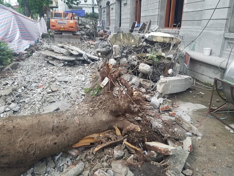 Hà Nội: Cây đổ đè trúng 2 xe máy, 5 người nhập viện