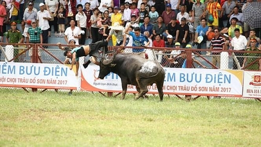 trau choi huc trong thuong chu nuoi