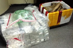 Bắt giữ hơn 50kg ngà voi nhập lậu qua sân bay Nội Bài