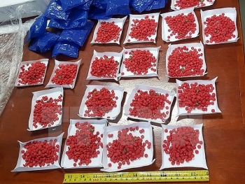 Xiết chặt quản lý tiền chất công nghiệp để phòng chống tội phạm ma túy