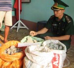 truy tim chu nhan chua 200 gram thuoc no tnt