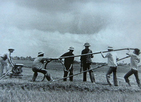 Chuyện về Anh hùng Lao động Trần Văn Giao (Kỳ II)