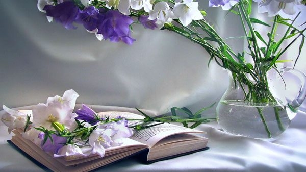 Tử vi 12 con giáp 7/5/2022: Tuổi Mão tài lộc dồi dào, tuổi Dần gặp khó khăn