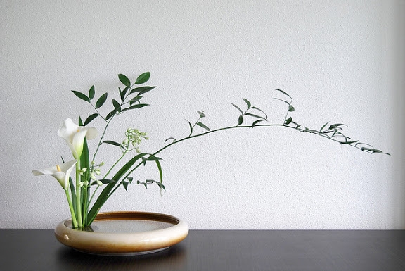 Tử vi tuần mới 28/2 - 6/3 của 12 con giáp: Tuổi Thân niềm vui tình cảm, tuổi Mão khó khăn liên tiếp