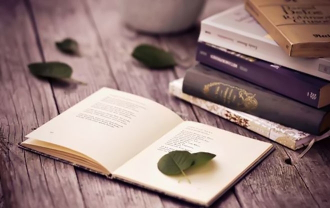 Tử vi 12 con giáp ngày 27/3/2022: Tuổi Sửu đầy quyết tâm, tuổi Mùi tiêu xài hoang phí