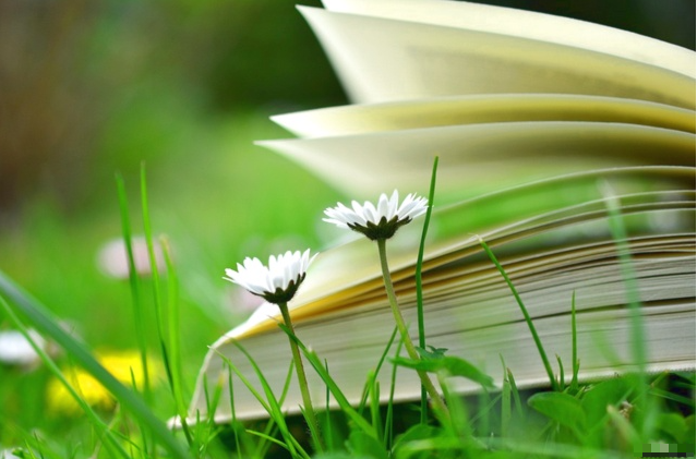Tử vi 12 con giáp ngày 27/3/2022: Tuổi Sửu đầy quyết tâm, tuổi Mùi tiêu xài hoang phí