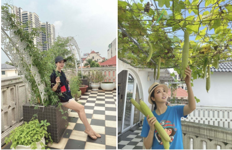 Hoa hậu Giáng My giàu có cỡ nào? Hoa hậu Giáng My giàu có cỡ nào?