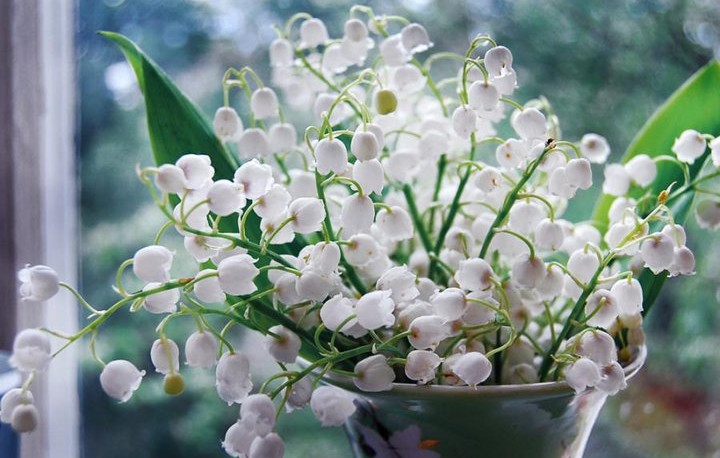 Tử vi 12 con giáp ngày 14/4/2022: Tuổi Dần không thuận lợi, tuổi Ngọ bước tiến lớn