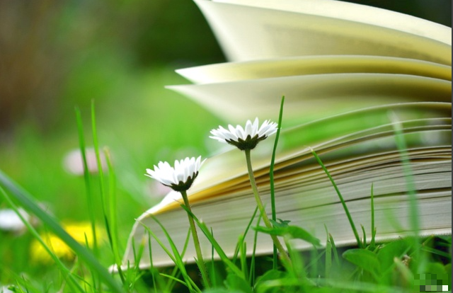 Tử vi 12 con giáp 17/4/2022: Tuổi Mão có quý nhân giúp đỡ, tuổi Ngọ dễ gặp rắc rối