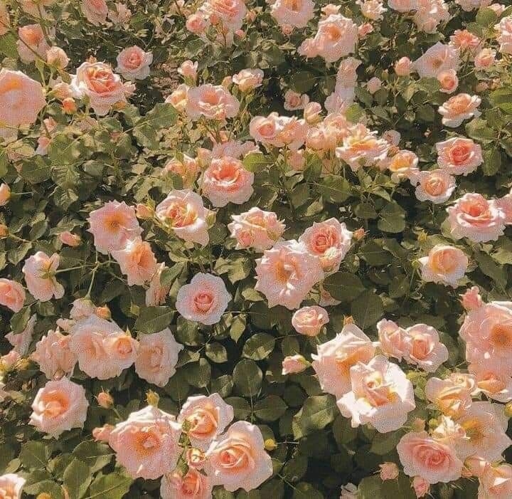 undefined Tử vi 12 con giáp ngày 16/10/2022: Tuổi Tý có một ngày tốt lành, tuổi Thìn dễ mất bình tĩnh