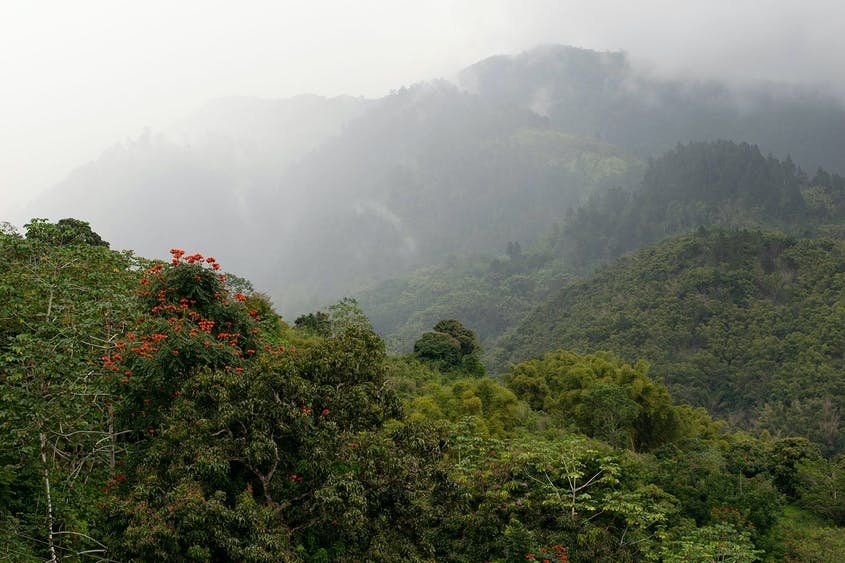 10 di sản thế giới đặc biệt được UNESCO công nhận, trong đó có Tràng An của Việt Nam