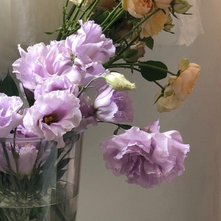 Tử vi 12 con giáp ngày 12/8/2022: Tuổi Hợi bản mệnh suôn sẻ, tuổi Ngọ xảy ra tranh cãi Tử vi 12 con giáp ngày 12/8/2022: Tuổi Hợi bản mệnh suôn sẻ, tuổi Ngọ xảy ra tranh cãi