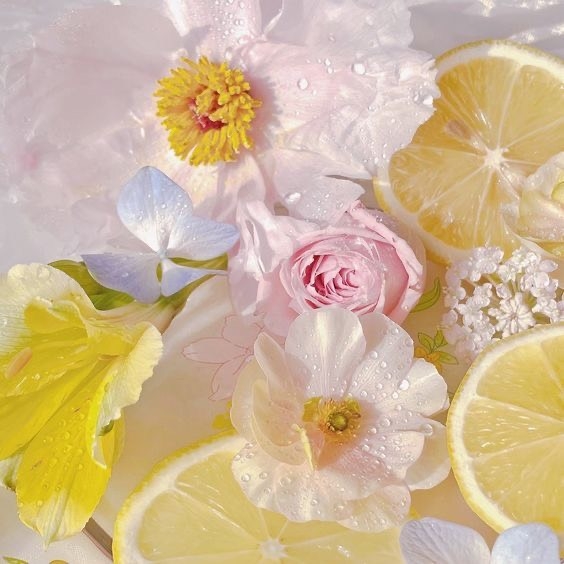 undefined Tử vi 12 con giáp ngày 16/10/2022: Tuổi Tý có một ngày tốt lành, tuổi Thìn dễ mất bình tĩnh