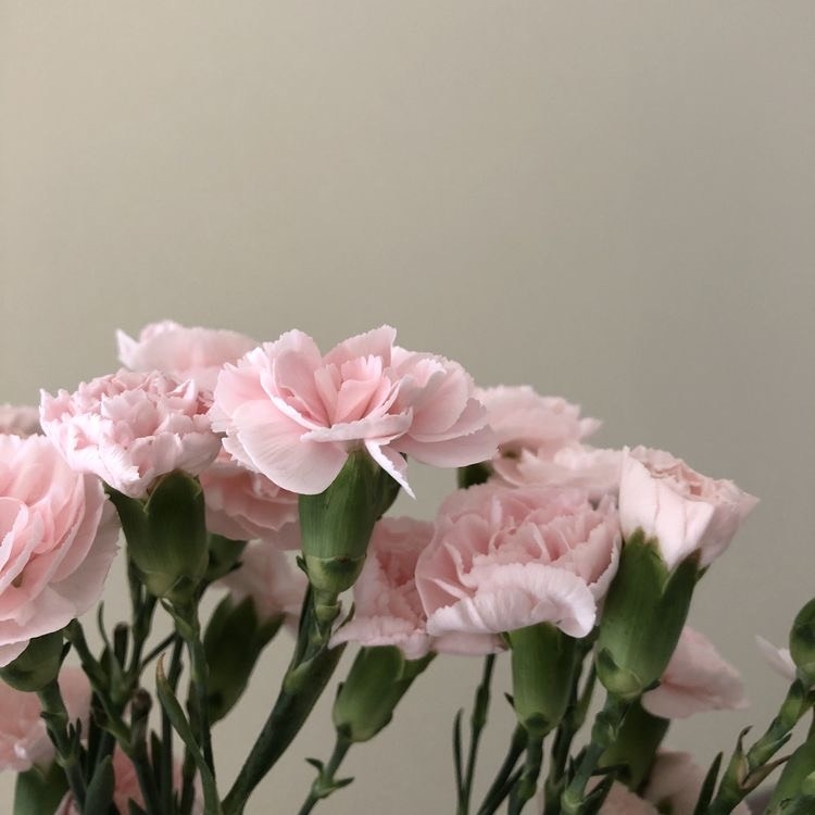 Tử vi 12 con giáp ngày 22/8/2022: Tuổi Thân vượng đào hoa, tuổi Thìn vướng nhiều bế tắc Tử vi 12 con giáp ngày 22/8/2022: Tuổi Thân vượng đào hoa, tuổi Thìn vướng nhiều bế tắc