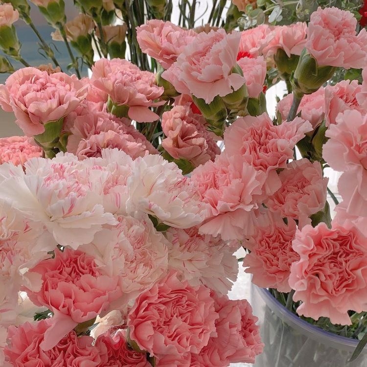 Tử vi 12 con giáp ngày 22/8/2022: Tuổi Thân vượng đào hoa, tuổi Thìn vướng nhiều bế tắc Tử vi 12 con giáp ngày 22/8/2022: Tuổi Thân vượng đào hoa, tuổi Thìn vướng nhiều bế tắc