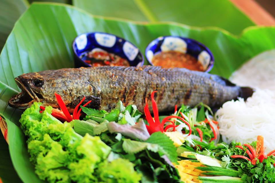 Hấp dẫn Du lịch sinh thái Bò Cạp Vàng