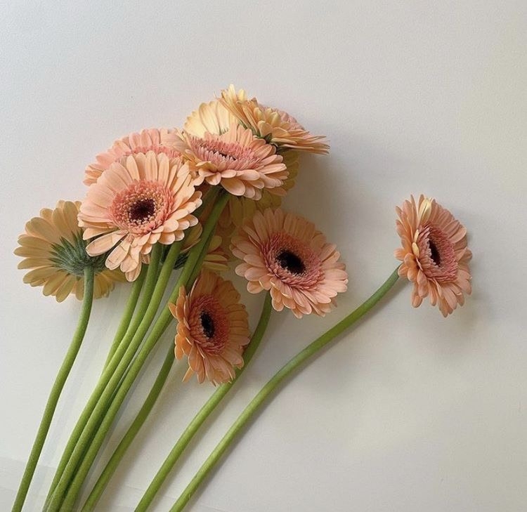 undefined Tử vi 12 con giáp ngày 16/10/2022: Tuổi Tý có một ngày tốt lành, tuổi Thìn dễ mất bình tĩnh