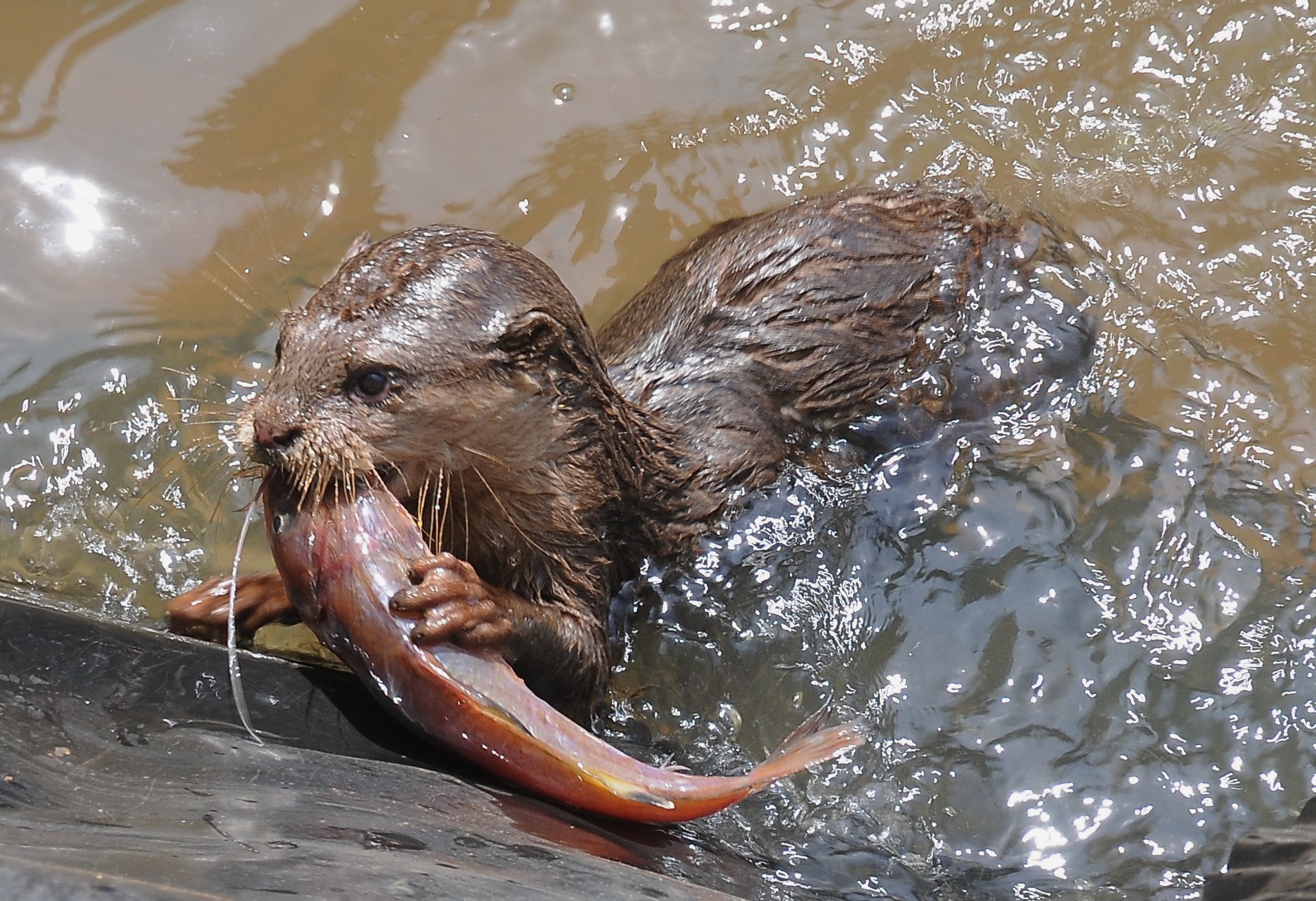 Du ngoạn Vườn quốc gia Lò Gò - Xa Mát, Tây Ninh Du ngoạn Vườn quốc gia Lò Gò - Xa Mát, Tây Ninh
