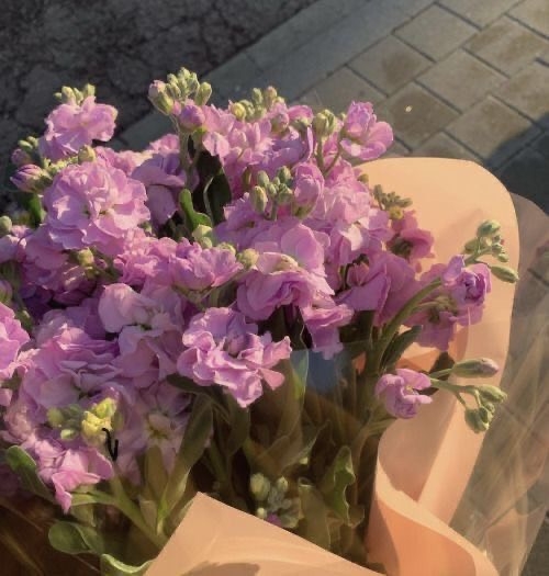 Tử vi 12 con giáp ngày 5/10/2022: Tuổi Ngọ mất an toàn, tuổi Hợi tình cảm thuận lợi