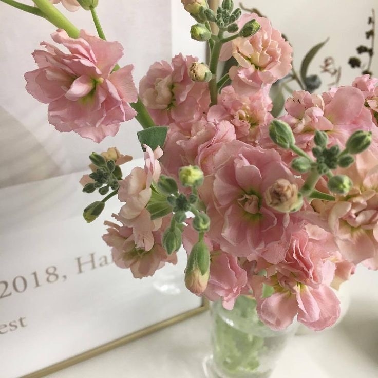 Tử vi 12 con giáp ngày 6/10/2022: Tuổi Tý công việc thuận lợi, tuổi Thìn dễ gây gổ tranh cãi Tử vi 12 con giáp ngày 6/10/2022: Tuổi Tý công việc thuận lợi, tuổi Thìn dễ gây gổ tranh cãi