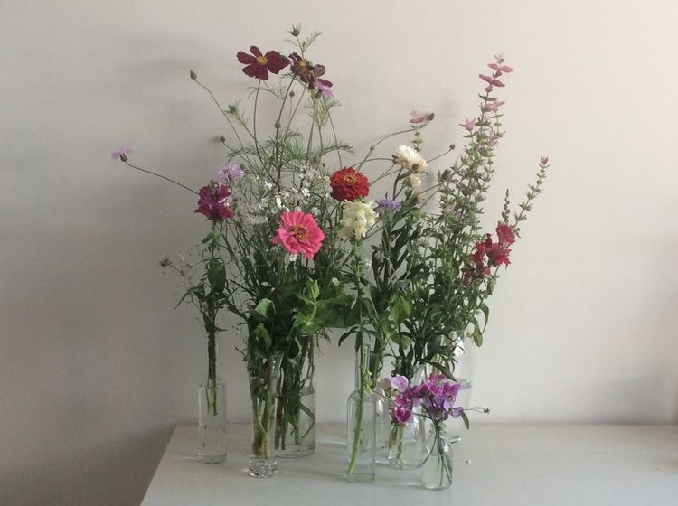 Tử vi 12 con giáp ngày 8/10/2022: Tuổi Tý căng thẳng mệt mỏi, tuổi Thìn gặt hái tiền bạc Tử vi 12 con giáp ngày 8/10/2022: Tuổi Tý căng thẳng mệt mỏi, tuổi Thìn gặt hái tiền bạc