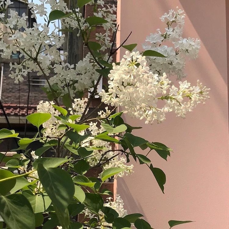 Tử vi 12 con giáp ngày 9/10/2022: Tuổi Dần hao tổn tiền bạc, tuổi Hợi tin vui tình cảm Tử vi 12 con giáp ngày 9/10/2022: Tuổi Dần hao tổn tiền bạc, tuổi Hợi tin vui tình cảm