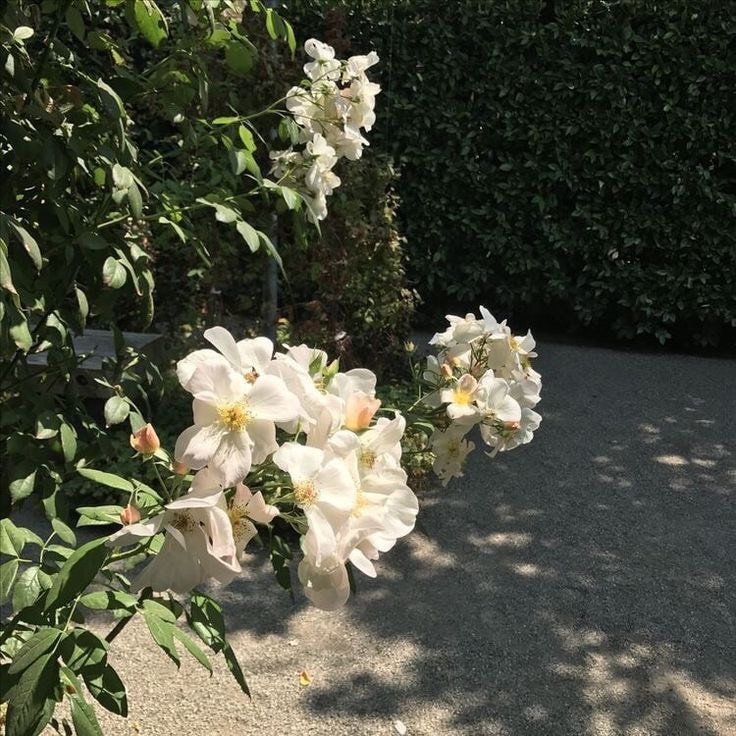 Tử vi 12 con giáp ngày 9/10/2022: Tuổi Dần hao tổn tiền bạc, tuổi Hợi tin vui tình cảm Tử vi 12 con giáp ngày 9/10/2022: Tuổi Dần hao tổn tiền bạc, tuổi Hợi tin vui tình cảm