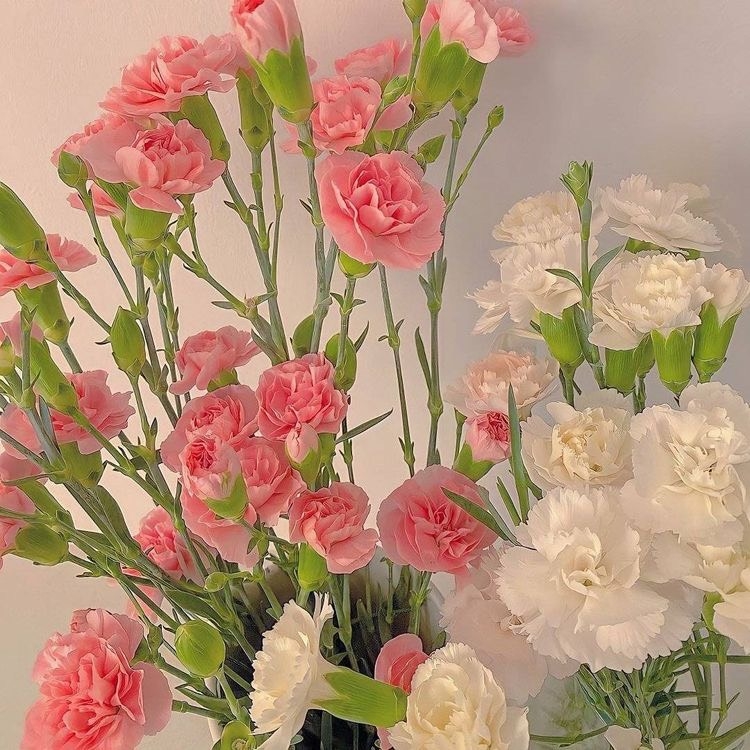 Tử vi 12 con giáp ngày 11/10/2022: Tuổi Tý vướng phải mâu thuẫn, tuổi Thìn may mắn về tài chính Tử vi 12 con giáp ngày 11/10/2022: Tuổi Tý vướng phải mâu thuẫn, tuổi Thìn may mắn về tài chính