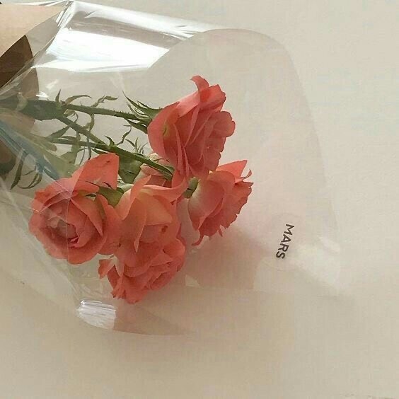 Tử vi 12 con giáp ngày 11/10/2022: Tuổi Tý vướng phải mâu thuẫn, tuổi Thìn may mắn về tài chính Tử vi 12 con giáp ngày 11/10/2022: Tuổi Tý vướng phải mâu thuẫn, tuổi Thìn may mắn về tài chính