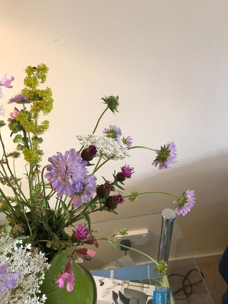 Tử vi 12 con giáp ngày 13/10/2022: Tuổi Tỵ làm việc thuận lợi, tuổi Dậu công việc trì trệ Tử vi 12 con giáp ngày 13/10/2022: Tuổi Tỵ làm việc thuận lợi, tuổi Dậu công việc trì trệ