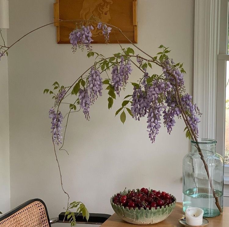 Tử vi 12 con giáp ngày 17/10/2022: Tuổi Tý kiêu căng tự phụ, tuổi Mùi phát triển rực rỡ Tử vi 12 con giáp ngày 17/10/2022: Tuổi Tý kiêu căng tự phụ, tuổi Mùi phát triển rực rỡ