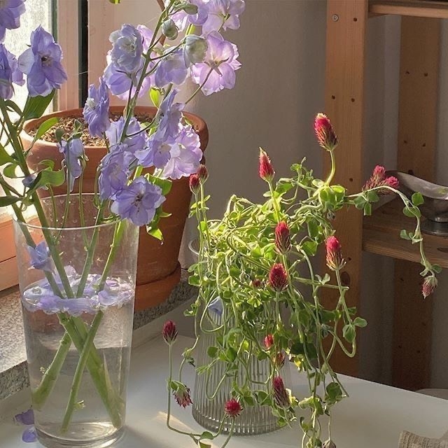 Tử vi 12 con giáp ngày 17/10/2022: Tuổi Tý kiêu căng tự phụ, tuổi Mùi phát triển rực rỡ Tử vi 12 con giáp ngày 17/10/2022: Tuổi Tý kiêu căng tự phụ, tuổi Mùi phát triển rực rỡ