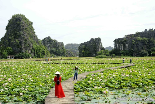 Đắm mình cùng sắc thu Ninh Bình