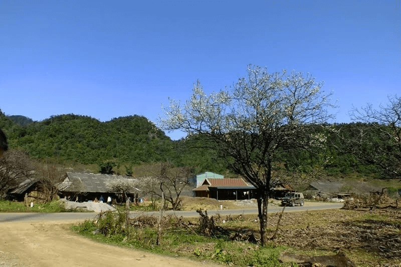 Vân Hồ (Sơn La) - Vẻ đẹp hoang sơ không thể bỏ lỡ