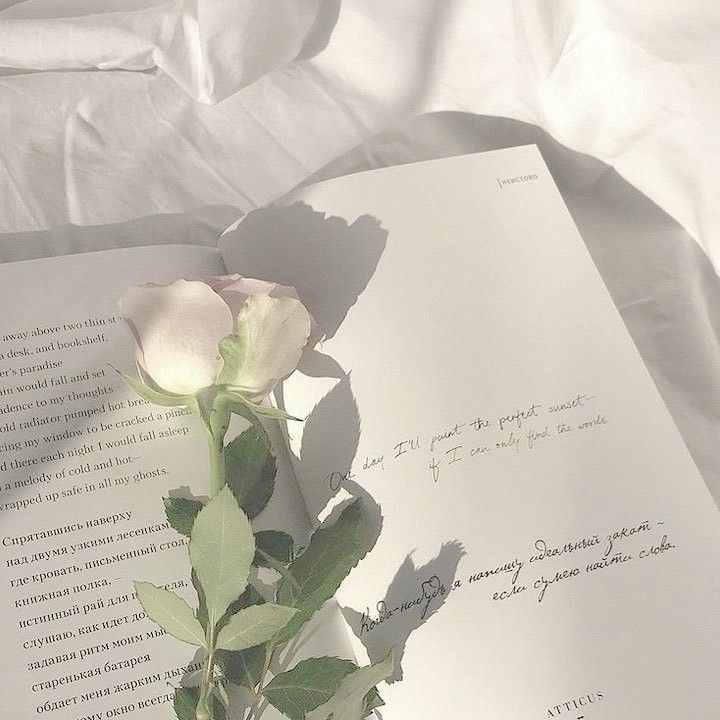 Tử vi 12 con giáp ngày 3/11/2022: Tuổi Hợi dễ vướng cạm bẫy, tuổi Sửu tình cảm tiến triển
