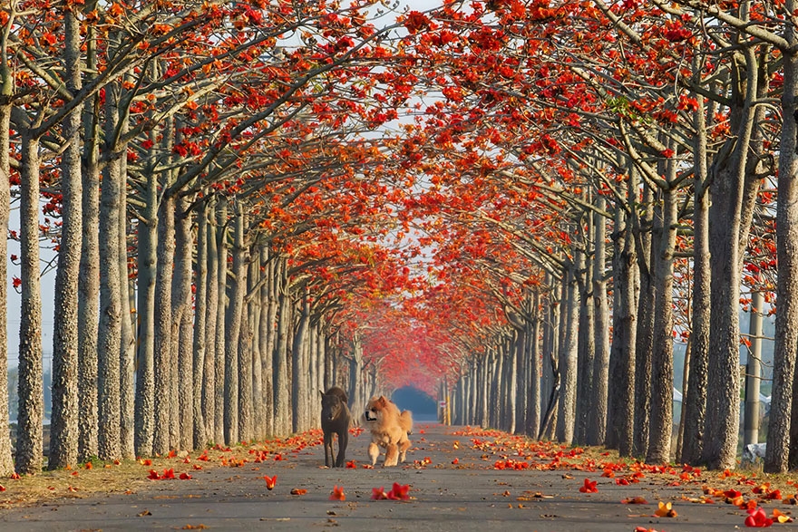 Những con đường huyền diệu thôi thúc đôi chân muốn đi của bạn nhung con duong huyen dieu thoi thuc doi chan muon di cua ban