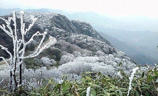 Dự báo thời tiết hôm nay ngày 12/1/2021: Miền Bắc tiếp tục duy trì rét đậm rét hại