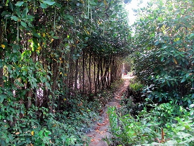 Một thoáng Đầm Thị Nại