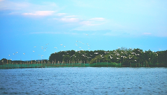 Một thoáng Đầm Thị Nại