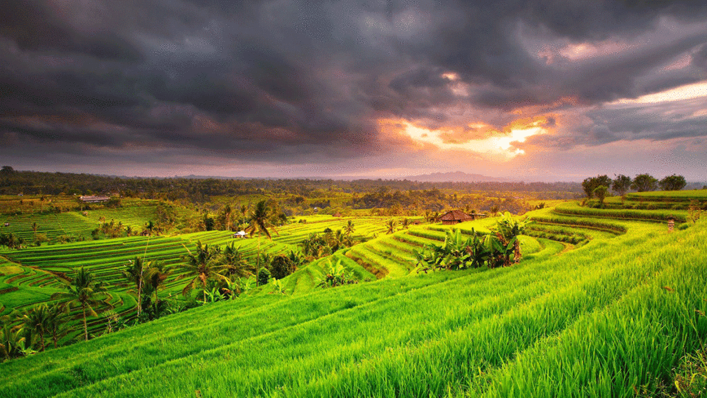 Bali hòn đảo thiên đường Bali hòn đảo thiên đường