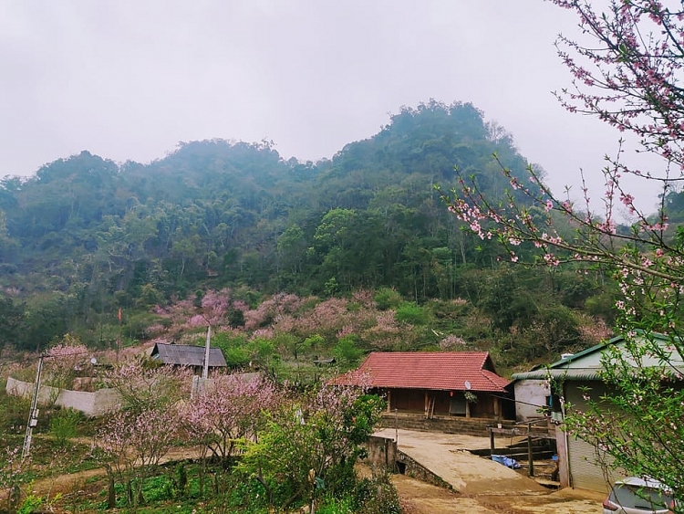 Lóng Luông thắm sắc hoa đào và bình yên đến lạ