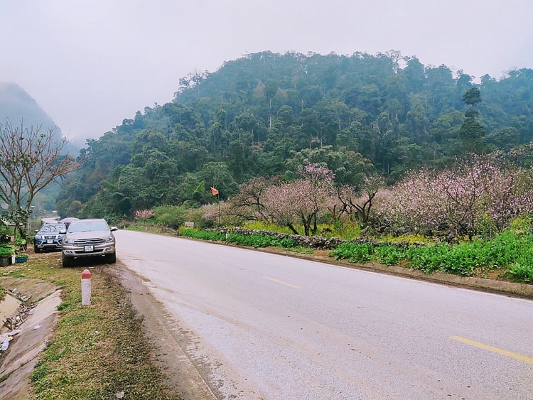 Lóng Luông thắm sắc hoa đào và bình yên đến lạ