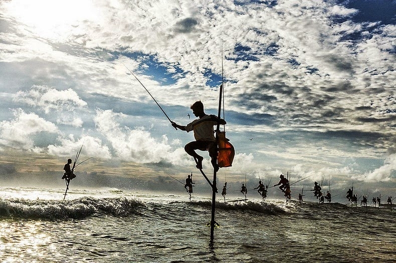 dung ca kheo cau ca an tuong va doc dao cua ngu dan quoc dao sri lanka