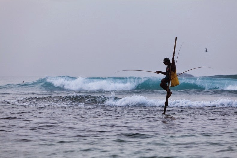 dung ca kheo cau ca an tuong va doc dao cua ngu dan quoc dao sri lanka